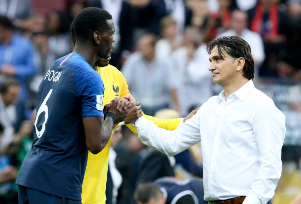 们深入了解 们深入了解