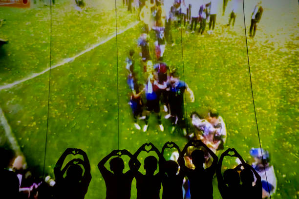 其他森林狼 其他森林狼